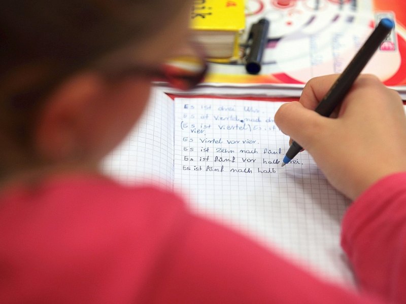 Aletta Haniel Gesamtschule zur Herausforderungen.jpg