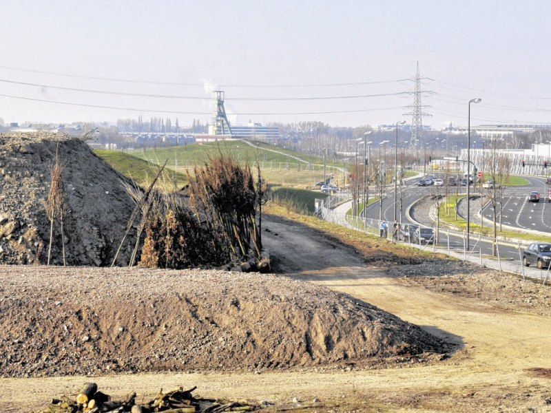 Essen Krupppark Sportanlage Sportplatz.jpg