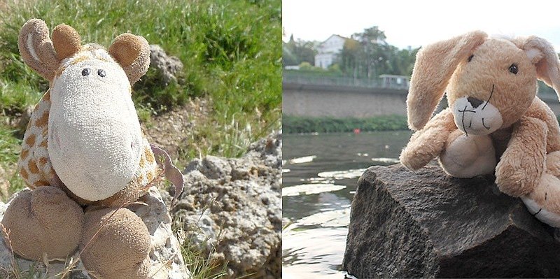 Hase Hurry Giraffe Raffi (See.jpg