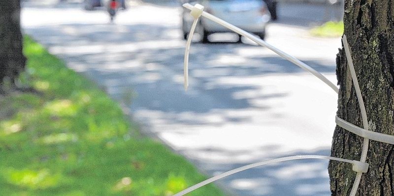 Kabelbinder von Wahl-Plakaten.jpg