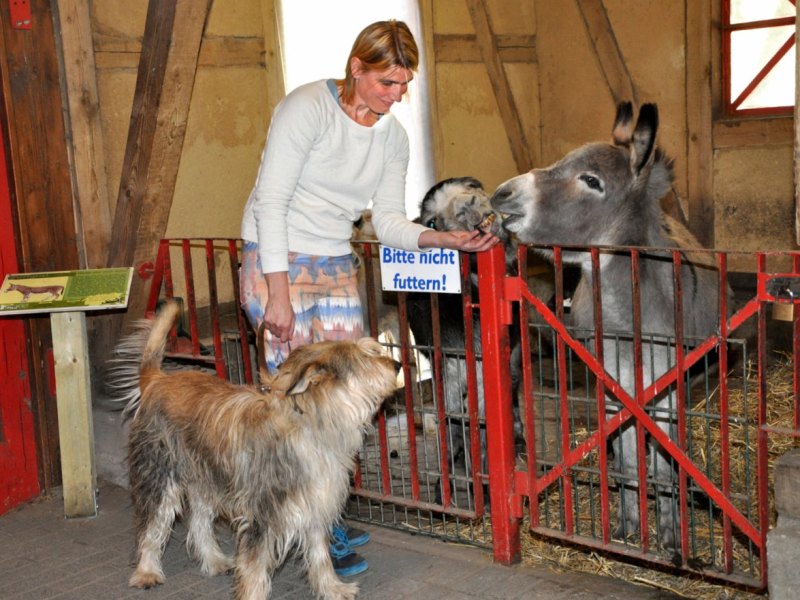 Leiterin Kaisergarten Oberhausen Anette Perrey.jpg