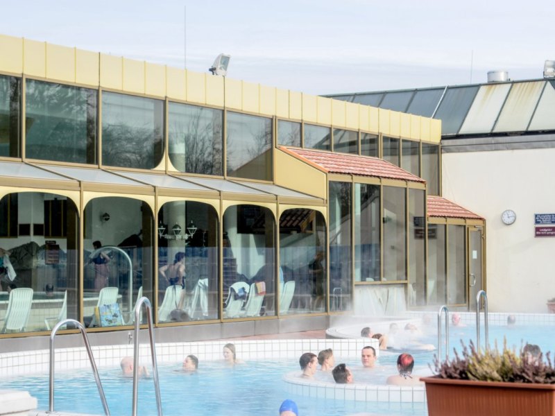 Niederrhein Therme im Revierpark Mattlerbusch.jpg