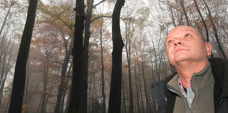 Oberhausen, Stadtförster.jpg