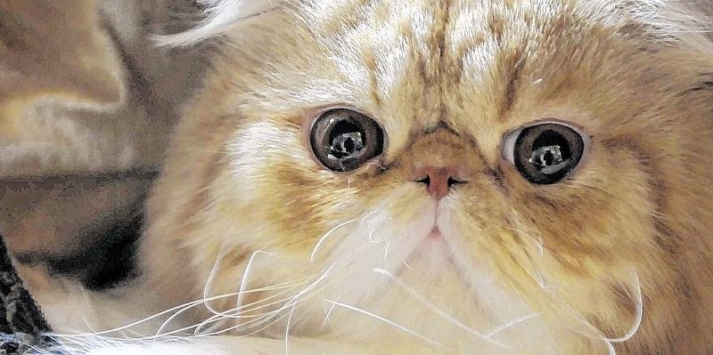 Sparvorschläge Duisburg.jpg