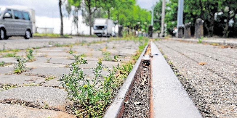 Symbolbild zur Zukunft der-kD1C--656x240@DERWESTEN.jpg