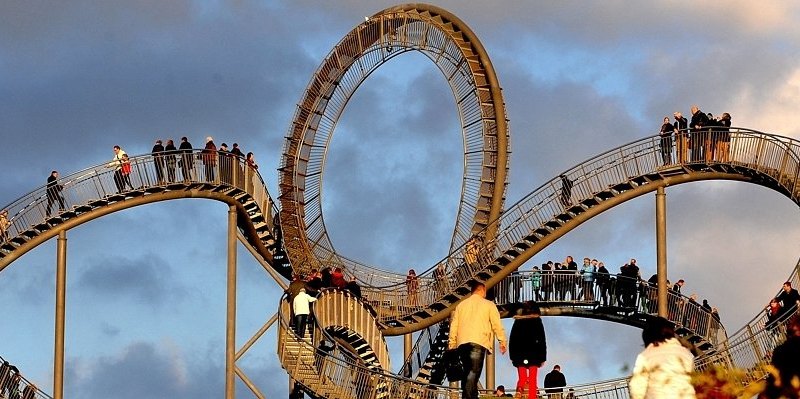 Tiger and Turtle.jpg