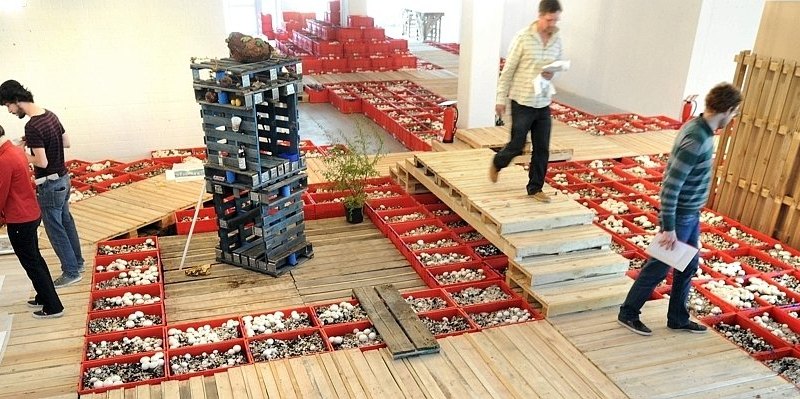 Urbane Künste Ruhr Gelsenkirchen_3--656x240.jpg