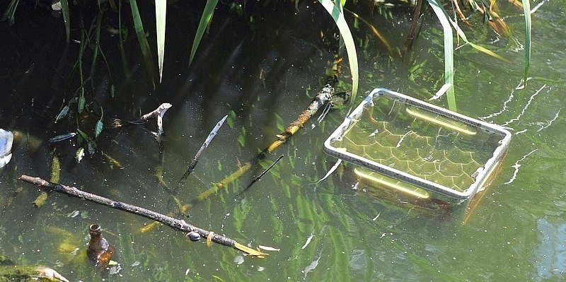 Wilder Müll Essen.jpg