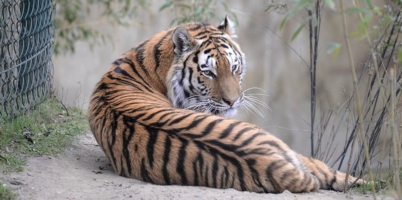 Zoom Erlebniswelt Gelsenkirchen.jpg
