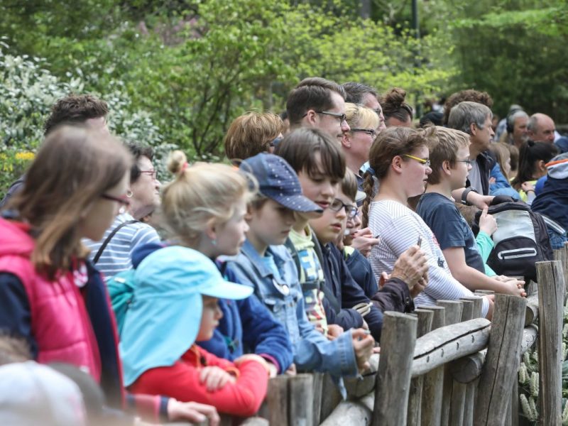 Zoo Dortmund Besucher