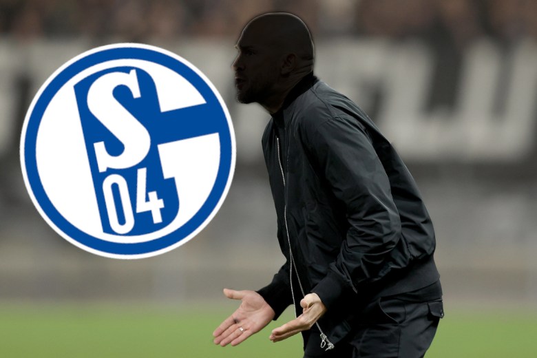 Christian Ilzer gestikuliert vor dem Wappen des FC Schalke 04.
