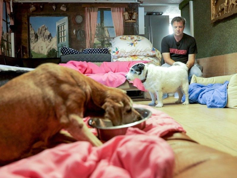 Martin Rütter Hunde-Seniorenheim