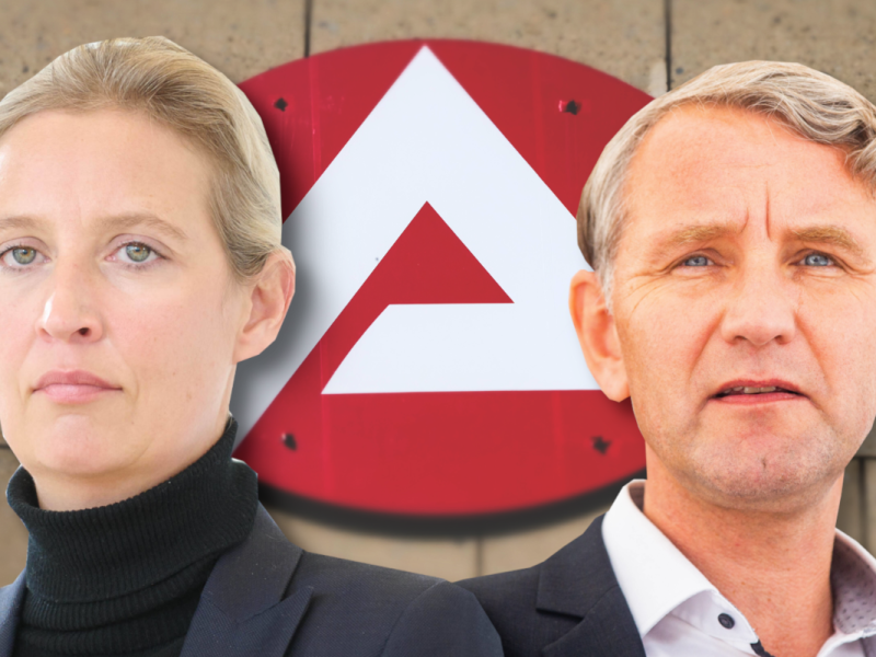 Die AfD ist gegen das Bürgergeld