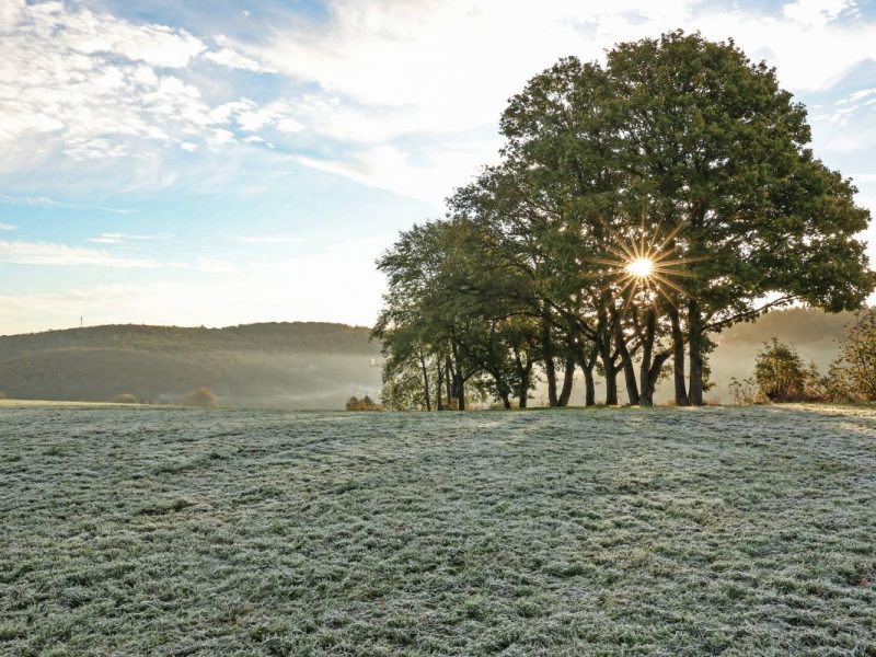 Wetter in NRW Frost am Morgen