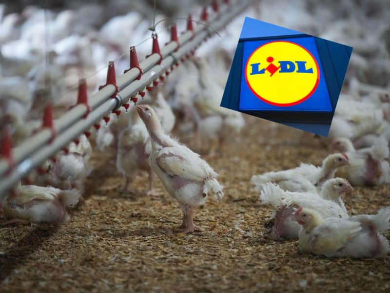 Lidl Geflügel