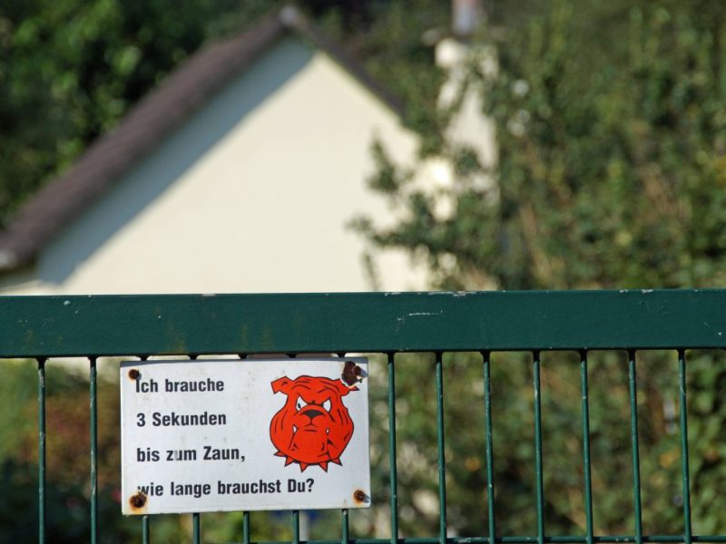 Essen: Vorsicht, Hund!