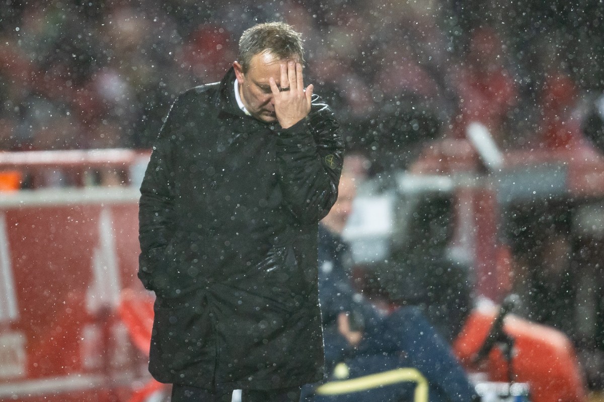 schalke-breitenreiter