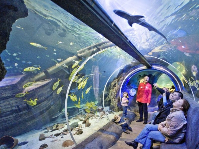 Oberhausen Sea Life