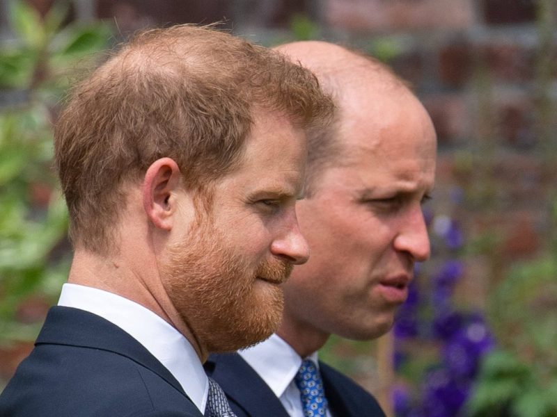 Prinz Harry und Prinz William