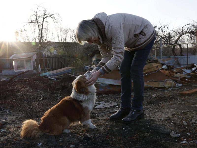 Frau streichelt Hund