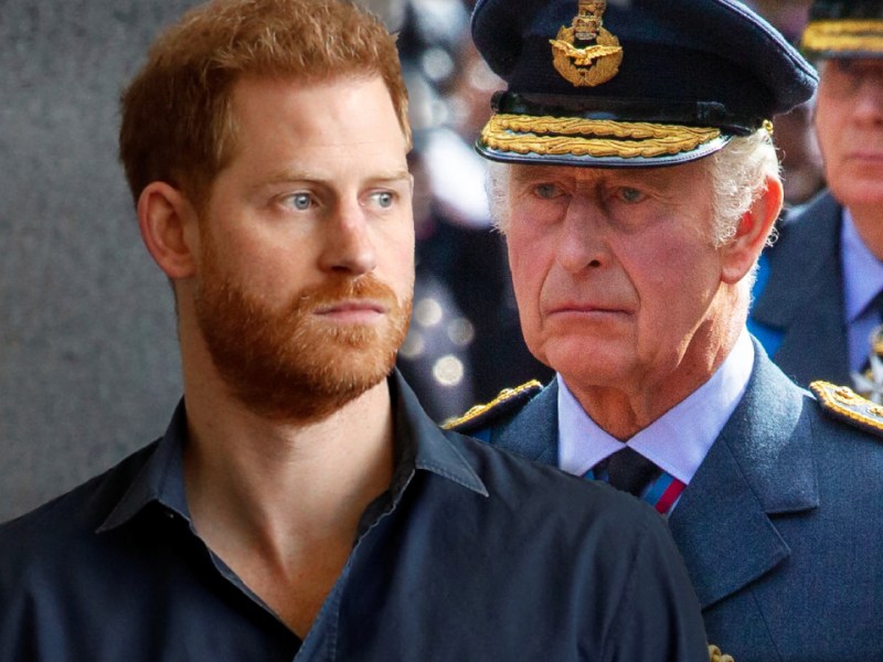 Prinz Harry und König Charles III.