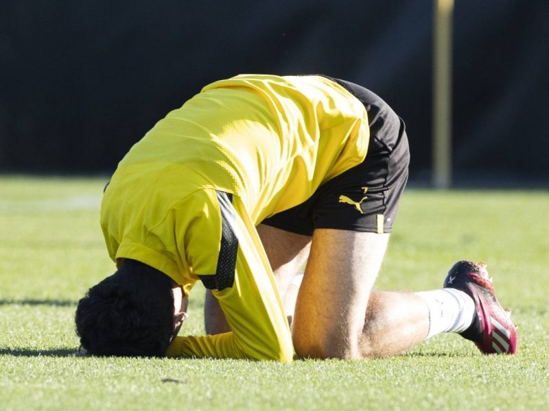 borussia-dortmund-reyna