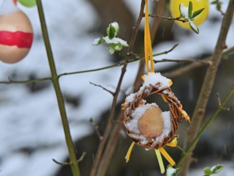 Wetter in NRW Schnee Osterdeko an Strauch