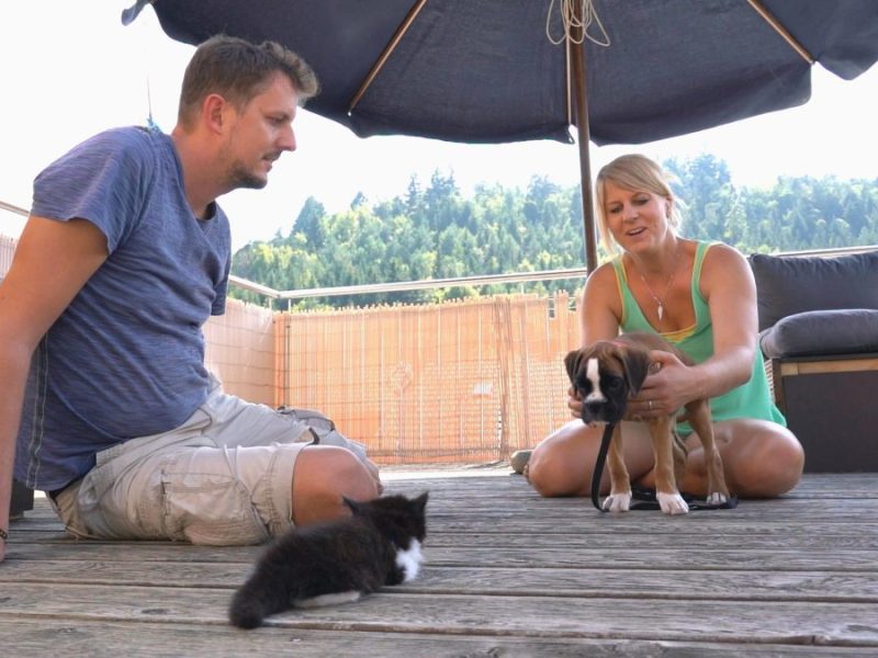 Martin Rütter: Traurige Szenen inRTL-Sendung