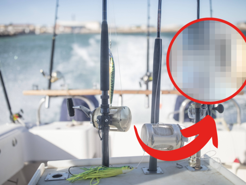 Bei einem Angeltrip mit Freunden vor der kroatischen Küste macht ein Mann eine unglaubliche Entdeckung. Das Naturschauspiel hält er mit seiner Drohne fest.