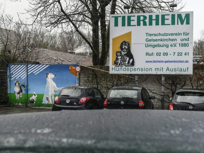 Tierheim Gelsenkirchen