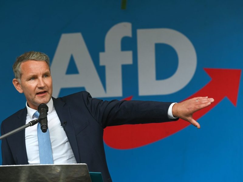 afd höcke