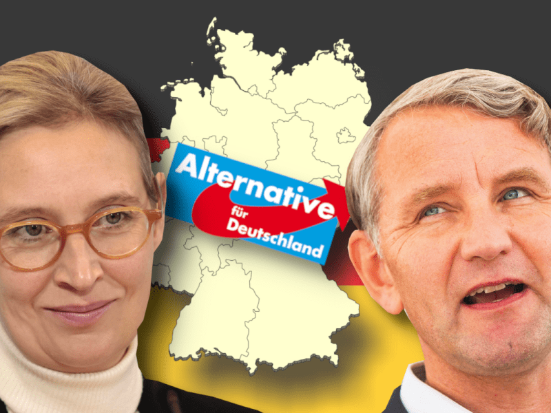 Die AfD immer stärker in Umfragen.
