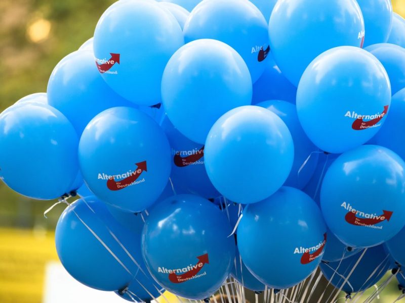 Thüringens Verfassungsschutz stuft den dortigen AfD-Landesverband als 