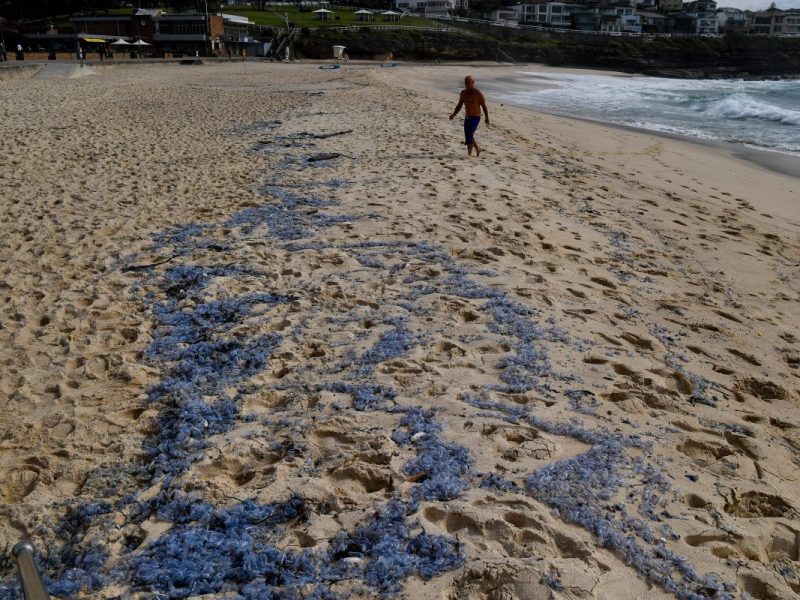 Urlaub an der Nordsee