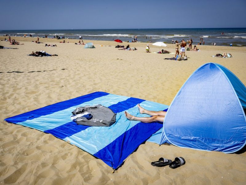 Urlaub in den Niederlanden: Fiese Plage an den Nordsee-Stränden.