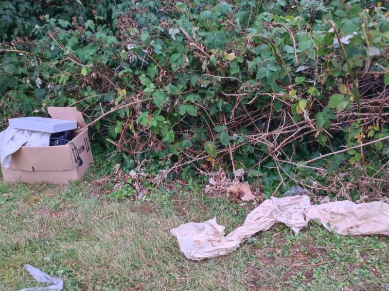 Mülheim: Anwohnerin teilt Bild von illegalen Müll in Parkanlage. Die Stadt trifft eine Teilschuld.