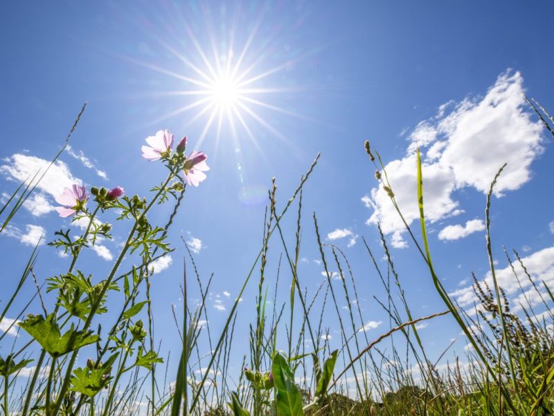 Wetter in NRW: Vorhersage schwierig