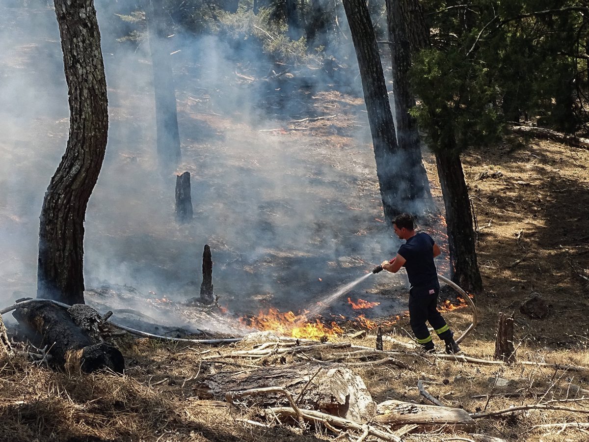 Auch ein Urlauber-Paar aus NRW ist von den Waldbränden auf Rhodos betroffen. Sie schildern die 