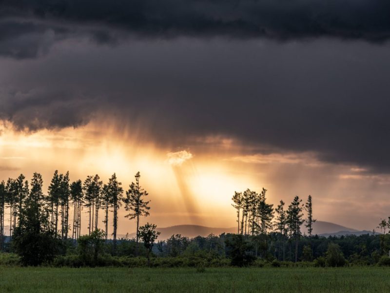 Wetter in NRW: Meteorologe sagt vorläufiges Ende vom diesjährigen Sommer voraus. In den nächsten Tagen Regen.