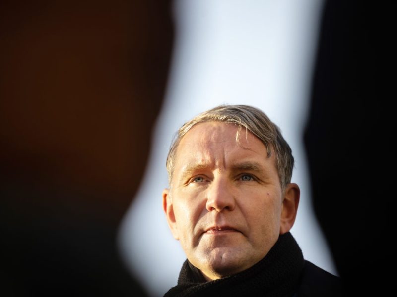Die AfD im öffentlich rechtlichen. DAS sagte Höcke im Sommerinterview.