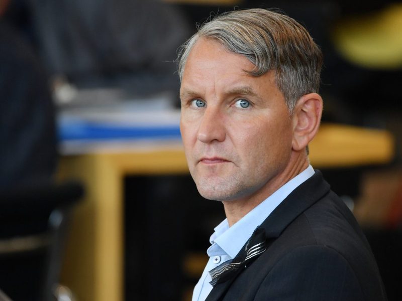 Warum das Bundesverfassungsgericht die AfD nicht stoppen kann