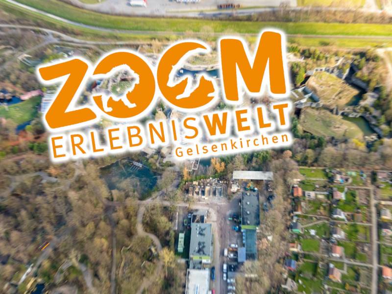 Zoom Gelsenkirchen