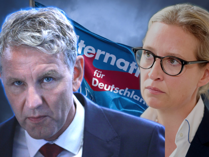 AfD könnte 2024 abstürzen!