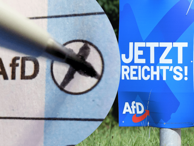 Wer würde sein Kreuz bei der AfD machen?