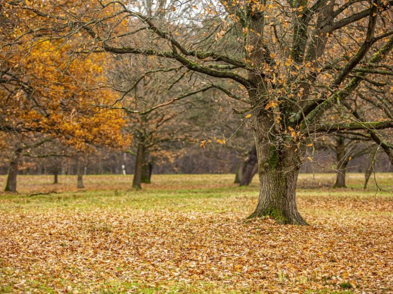 Wetter in NRW: Wettermodelle sind sich uneinig
