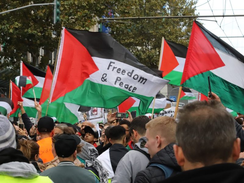 Demonstranten in Düsseldorf, NRW