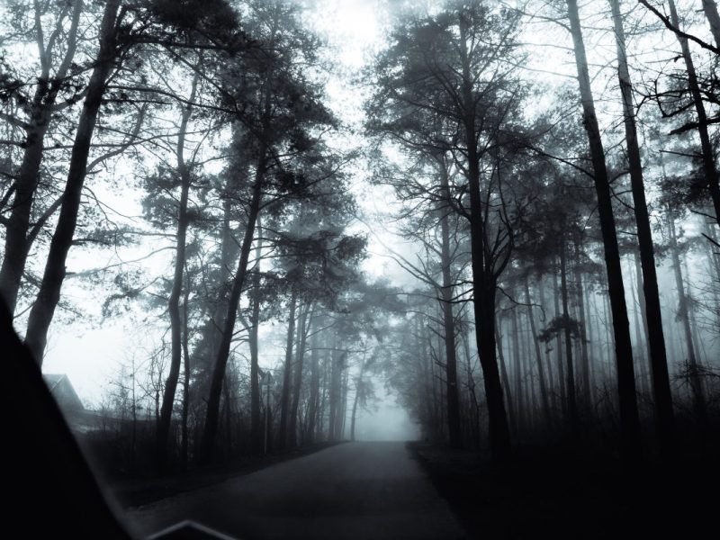 Das Wetter in NRW wird in den nächsten Tagen ungemütlich und nass.