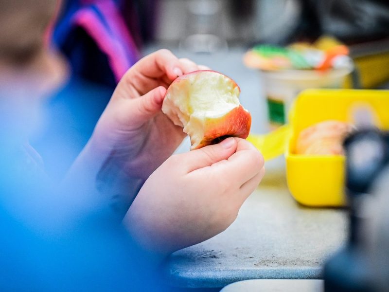 Keine finanzielle Unterstützung mehr für Geflüchtete? Pro Asyl rät ab von den Plänen der Politiker.