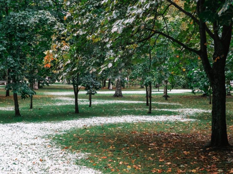 Wetter in NRW: Experte rechnet mit ersten Flocken