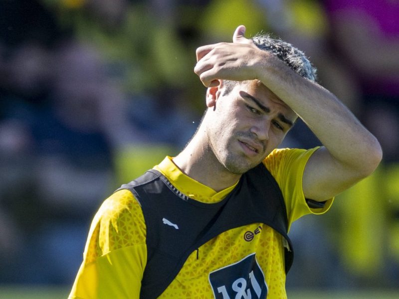 Giovanni Reyna gilt bei Borussia Dortmund als großes Talent.